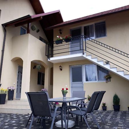 Apartament Casa Luisa Călimăneşti Zewnętrze zdjęcie
