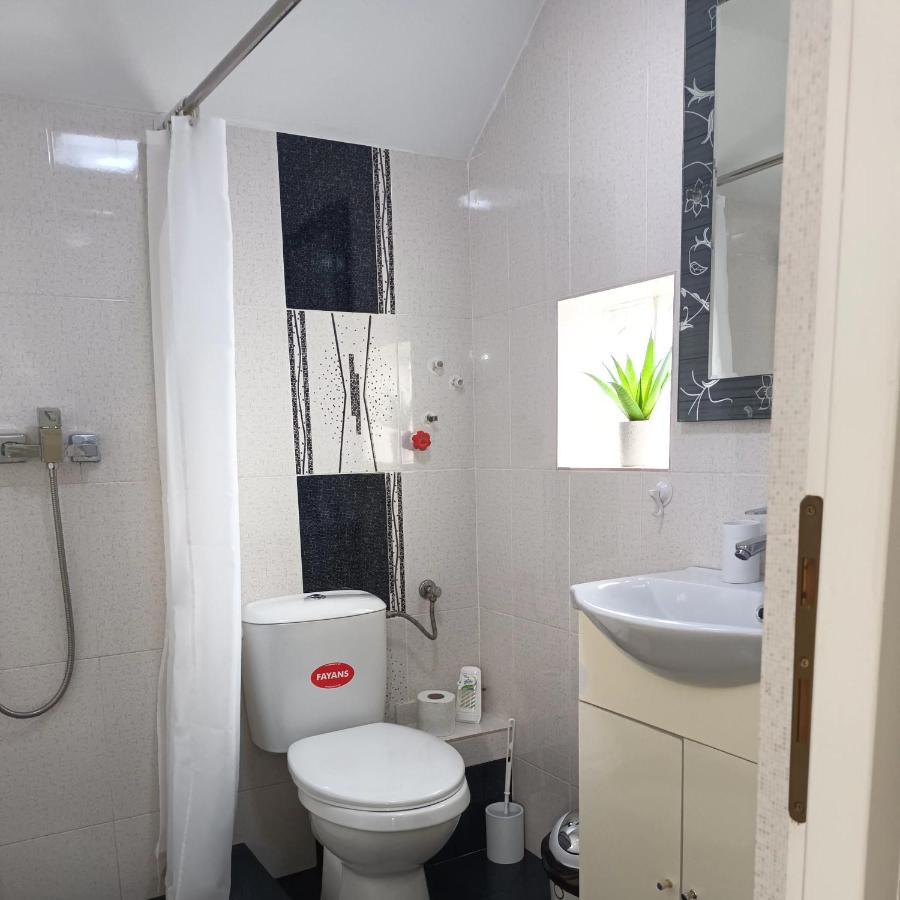 Apartament Casa Luisa Călimăneşti Zewnętrze zdjęcie