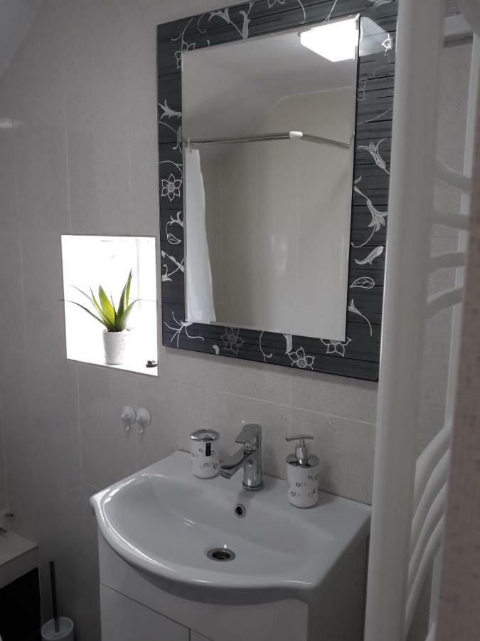 Apartament Casa Luisa Călimăneşti Zewnętrze zdjęcie