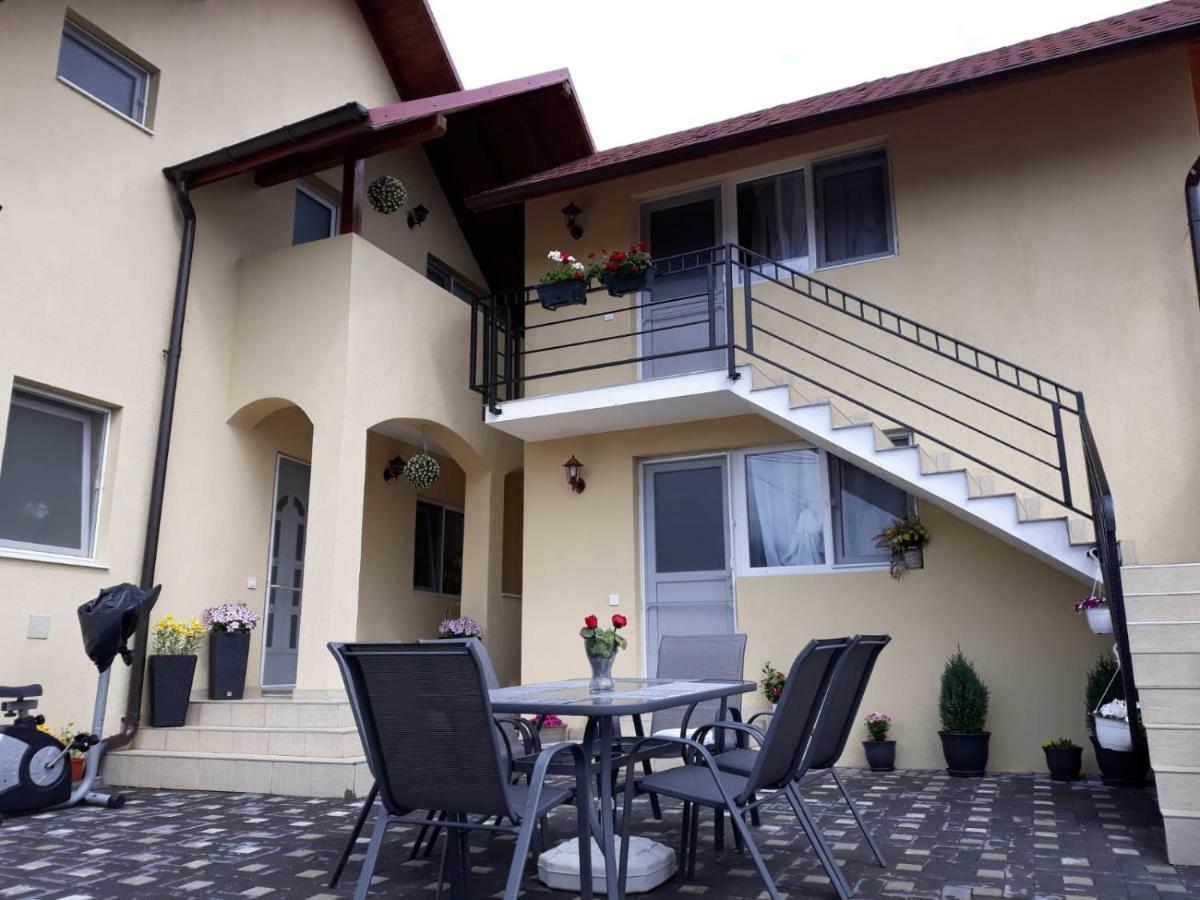 Apartament Casa Luisa Călimăneşti Zewnętrze zdjęcie