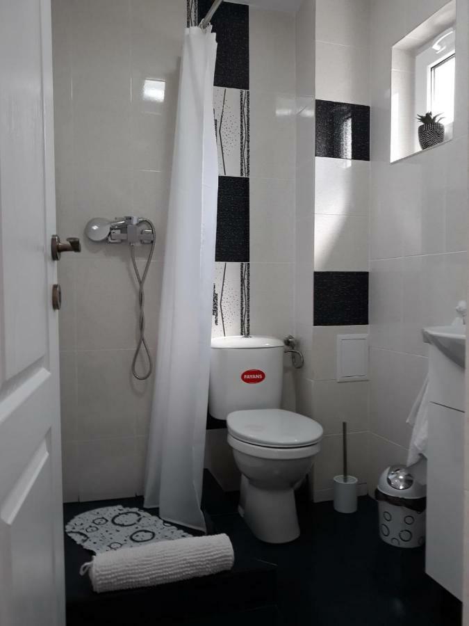 Apartament Casa Luisa Călimăneşti Zewnętrze zdjęcie